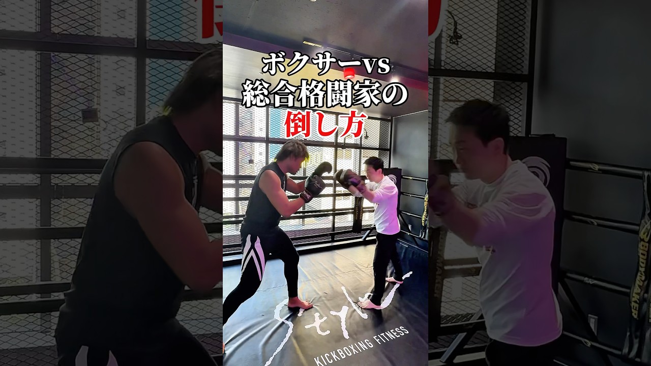 【総合格闘家の倒し方】ボクサーvs総合格闘家 #ボクシング #総合格闘技 #喧嘩独学 #クエスト至上主義 #格闘マンガ好き