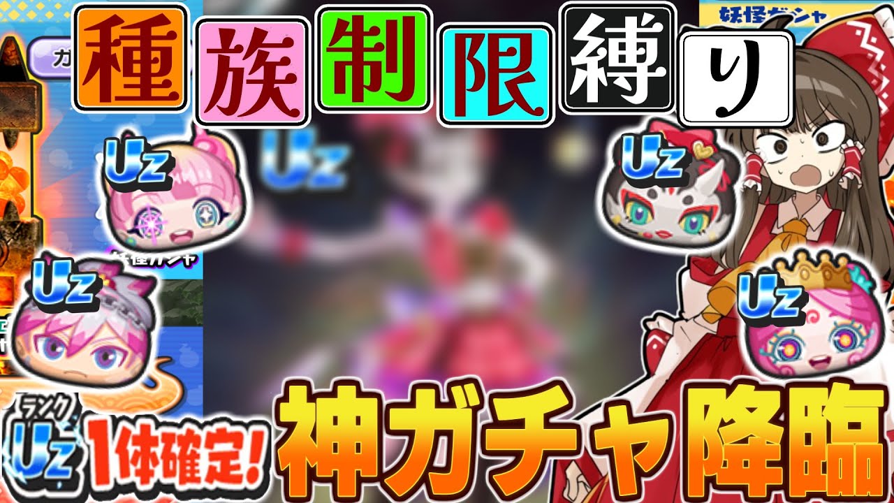 「UZ確定⁉」プリチーガチャを回してみた結果…『種族制限縛り』part14【ぷにぷに/ゆっくり実況】