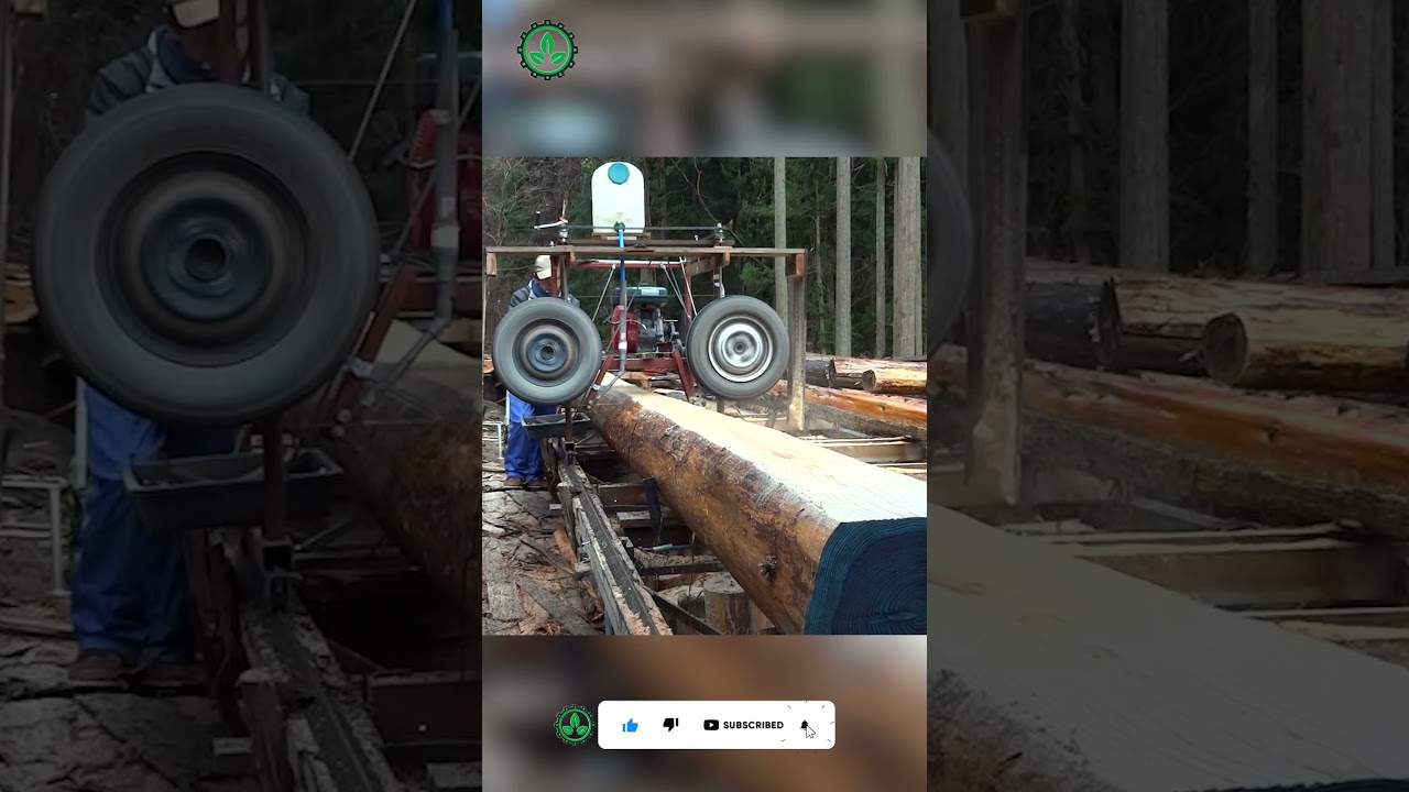 危険な最速チェーンソーによる木を切る機械のスキル | モンスター切り株除去掘削機 #shorts