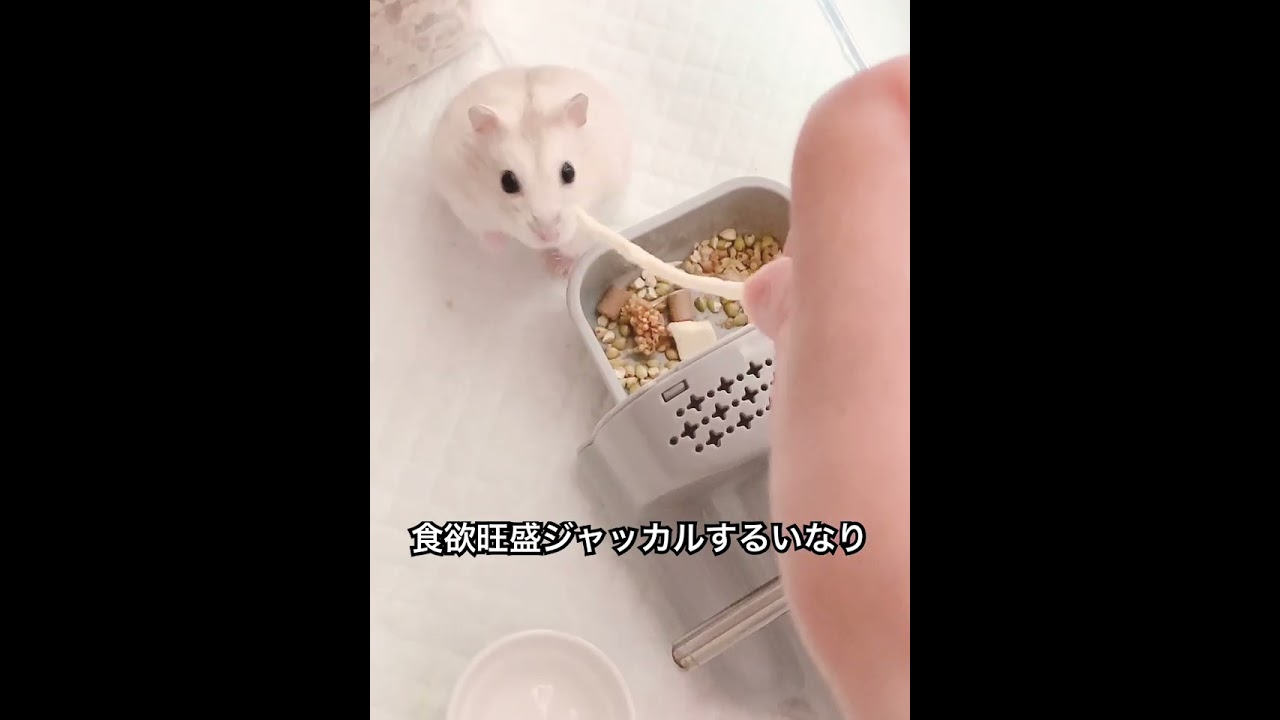 ただいま？おかえり？