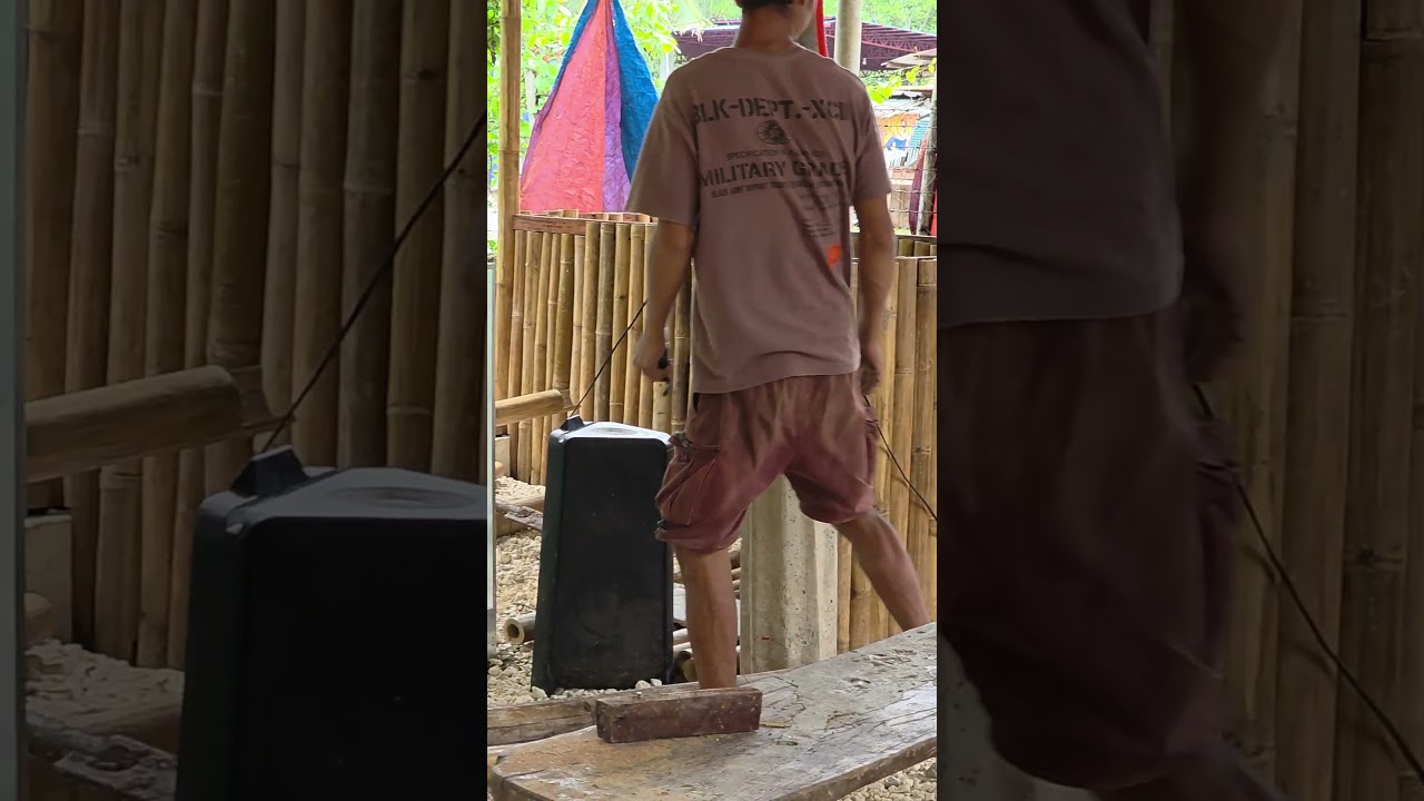 Checking out the new gate and the waiting shed!😁#JRBigBrother#MrSelfieToothbrush #MrOrange