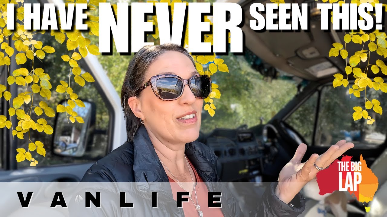 こんなことが起こるなんて知りませんでした！なんて素敵なサプライズでしょう！（レリダ・ワイナリー｜ゴールバーン、ニューサウスウェールズ州）