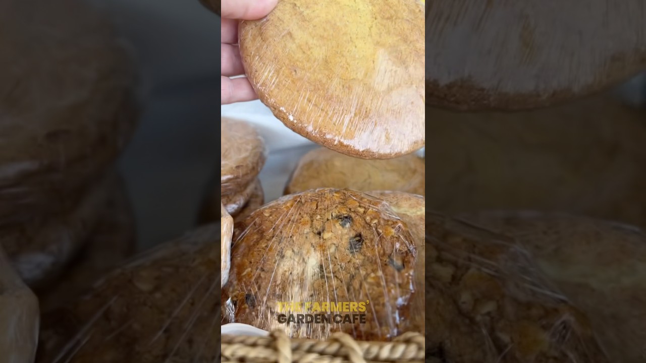 These aren’t your ordinary cookies - they’re MONSTER-sized flavor adventures! Bite & shop for plants