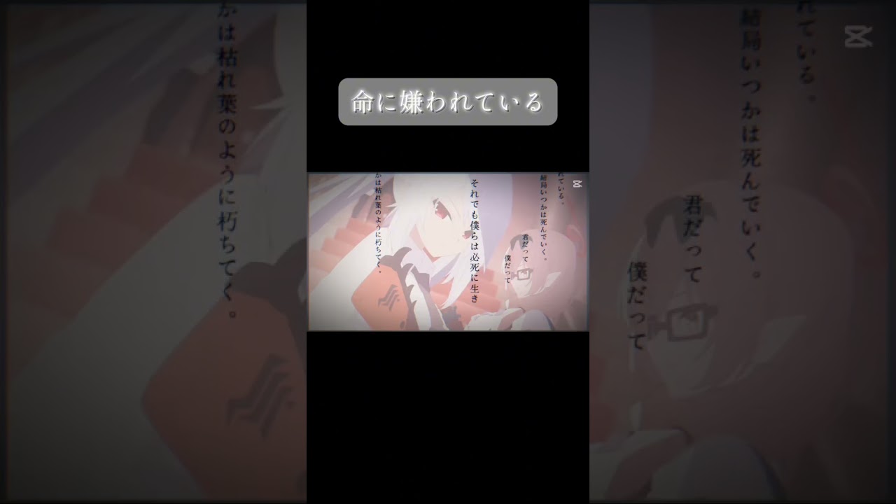 【MAD】ブルーアーカイブ×命に嫌われている#ブルーアーカイブ #ブルアカ #ブルーアーカイブmad #ブルアカmad #ブルアカtvアニメ #命に嫌われている #ブルーアーカイブ