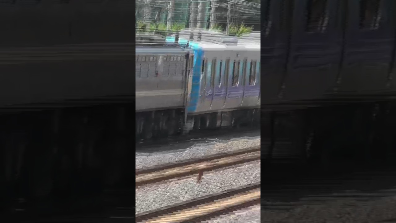 [湘南新宿ライン]ﾄｳｷｮｳﾘﾝｶｲｺｳｿｸﾃﾂﾄﾞｳﾘﾝｶｲﾗｲﾝZ12編成降臨！