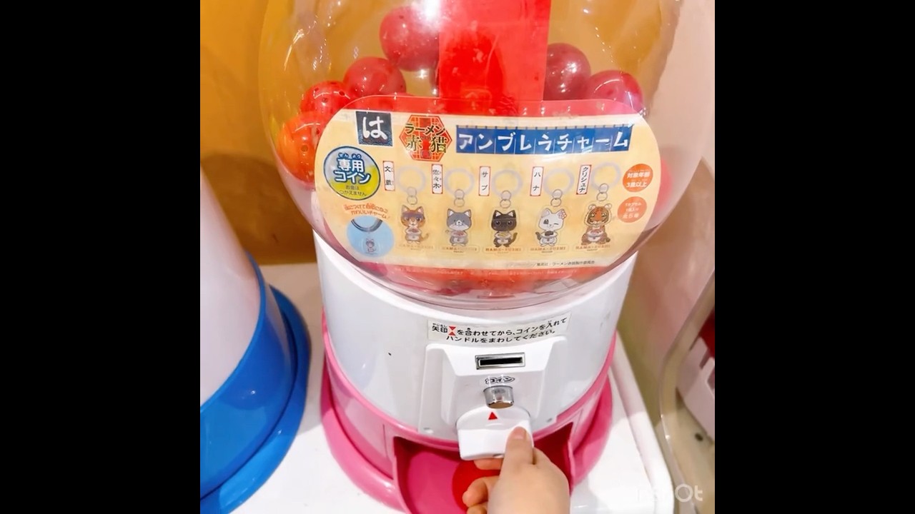 はま寿司でラーメン赤猫のガチャ回してきたよ　#はま寿司 #ラーメン赤猫 #ガチャ