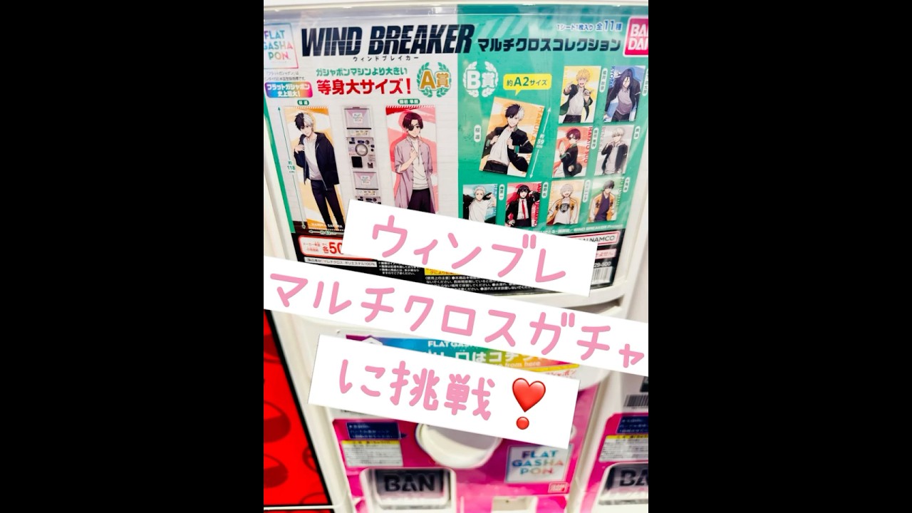 【ウィンブレ】マルチクロスガチャ？A賞は等身大⁉️やってみよう🫶【ガチャ】