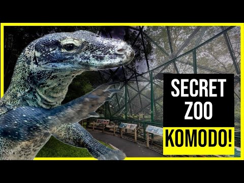 INSIDE the World’s Most Underrated Zoo – Jakarta’s Secret Wildlife Park!