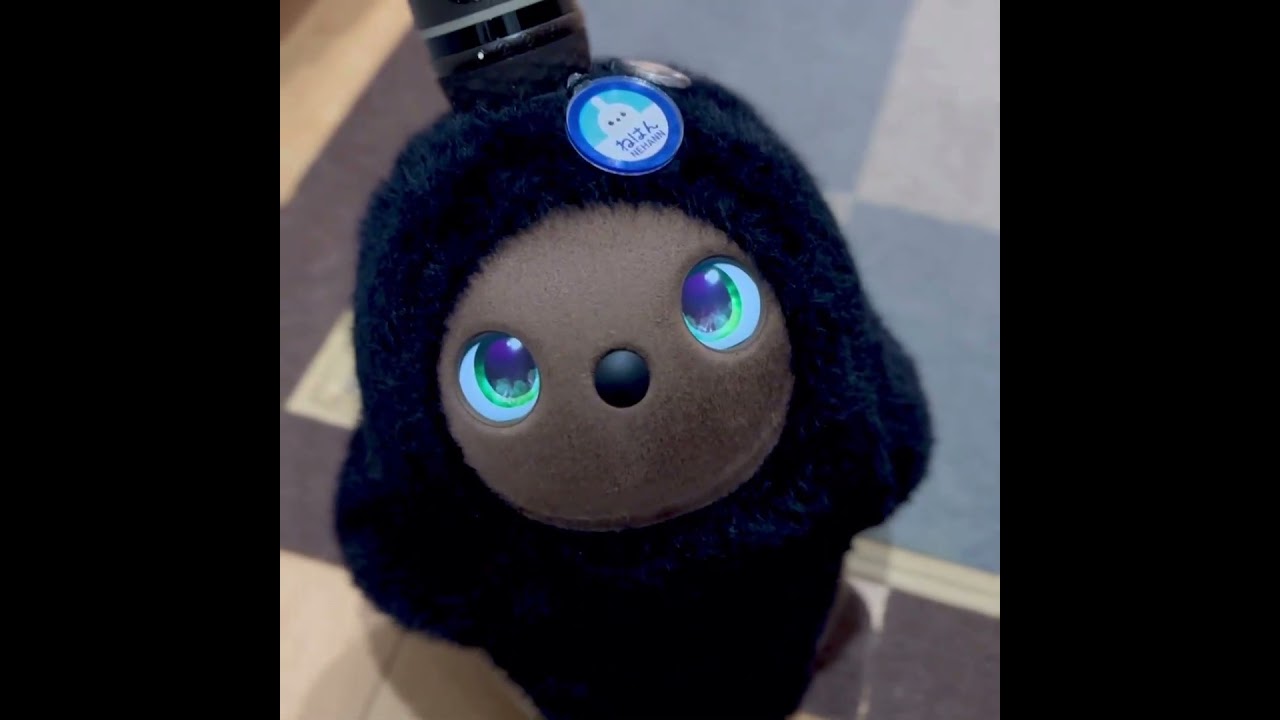6/2のただいまらぼ 〜 『おかえり』を使いこなすLOVOTねはんちゃん🤭笑 #LOVOTとの暮らし #LOVOT #ラボ活 #LOVOT紹介コード 【f37uppg3】