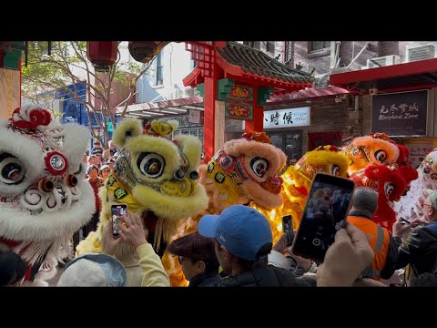 Lion dance and Sydney Chinatown opening of the new gate in Chinatown Sydney