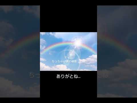 ティム、ありがとう #保護犬  #虹の橋  #ありがとう #命　#アリスの会