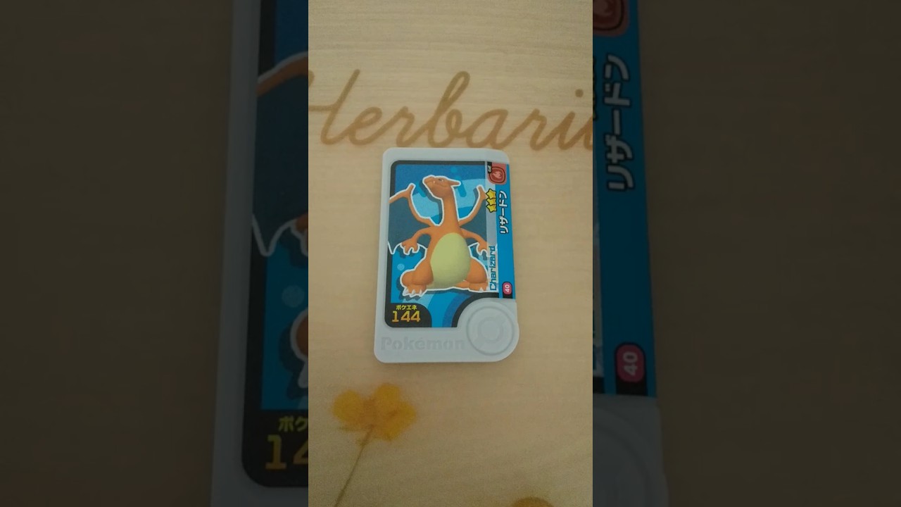 フレンダ　リザードン　#YouTubeショート　#shorts　#ポケモンフレンダ　#ポケモン　#Pokemon　#おうち時間#リザードン