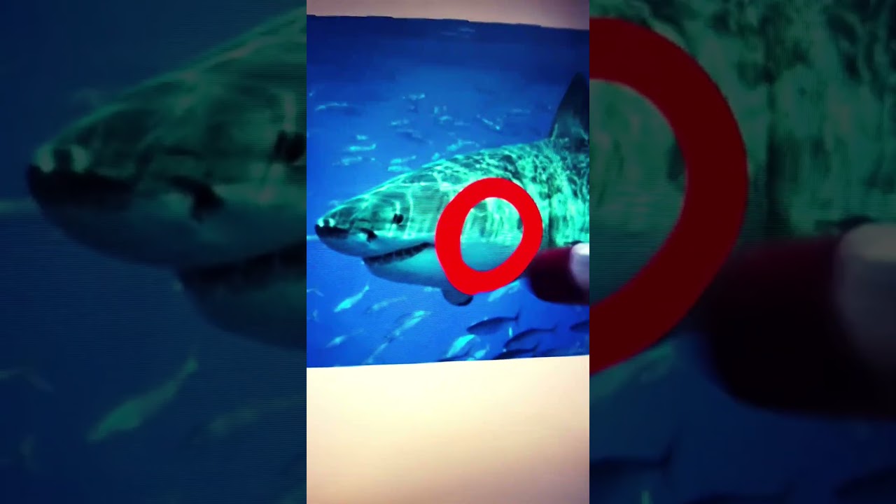 Draw you're monster!!!