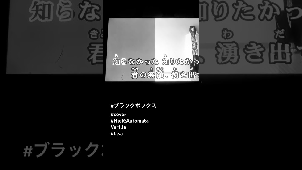 ブラックボックス(cover):NieR