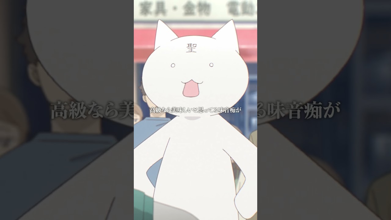 御使い（猫）VS 御使い（鳥） from『#かつて魔法少女と悪は敵対していた。』 #まほあく #第8回 #クリスマスの前に #アニメ #mahoaku #shorts