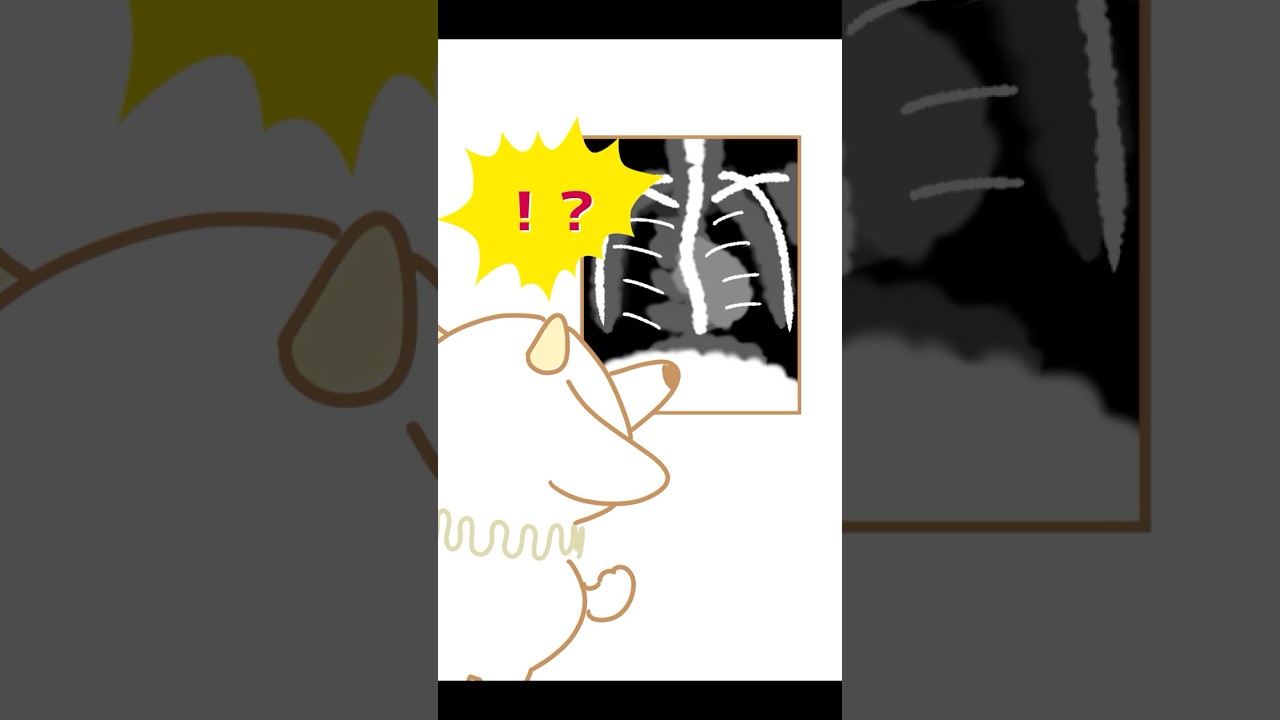 【アニメ】足を組んでしまう人の末路