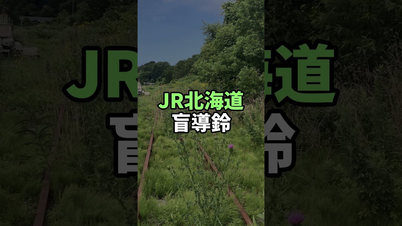 この音、何の音？