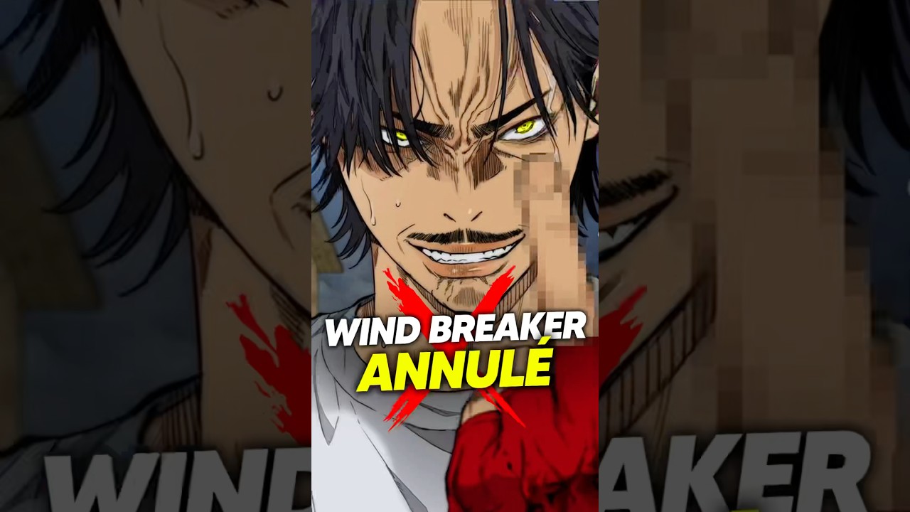 L’auteur de WINDBREAKER accusé de PLAGIAT ! #webtoon #windbreaker #plagiat #anime