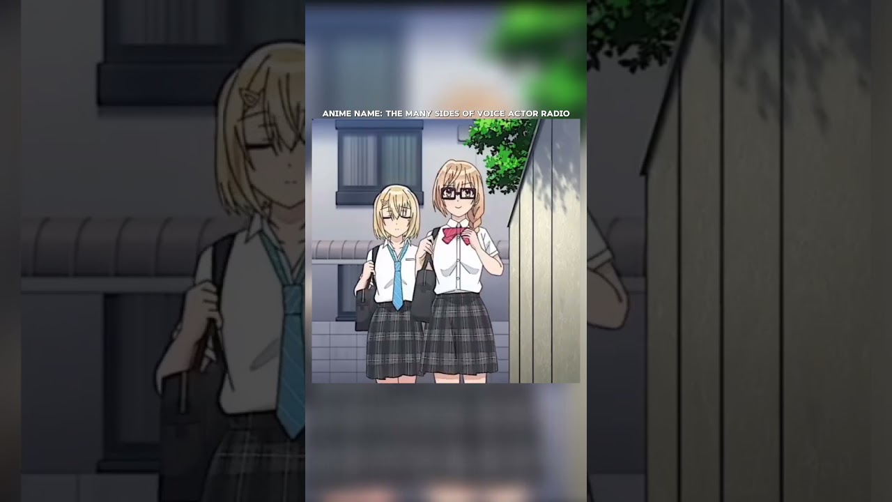The Many Sides of Voice Actor Radio 📻~anime recommendation