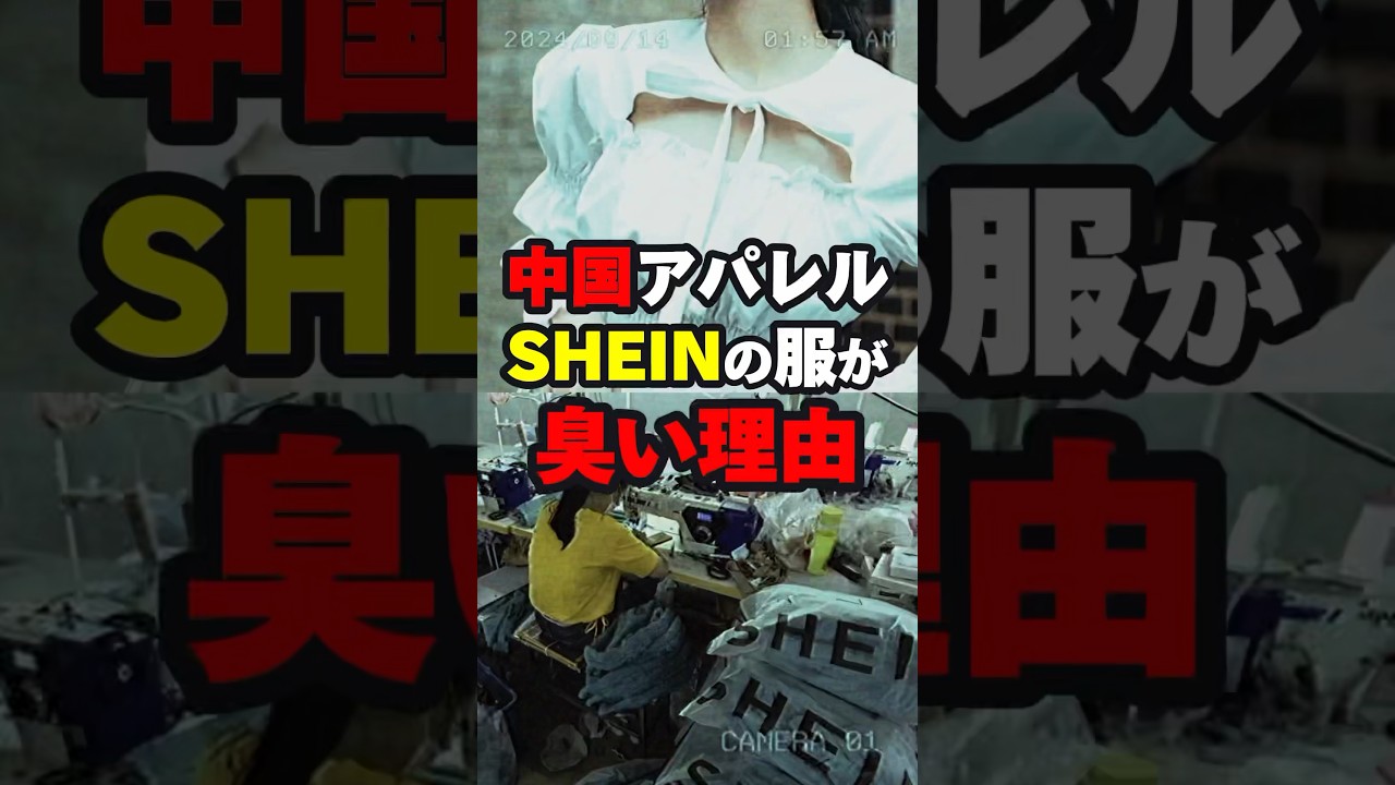 【地獄】中国アパレルSHEINの服がクサイ理由… #海外の反応 #shorts
