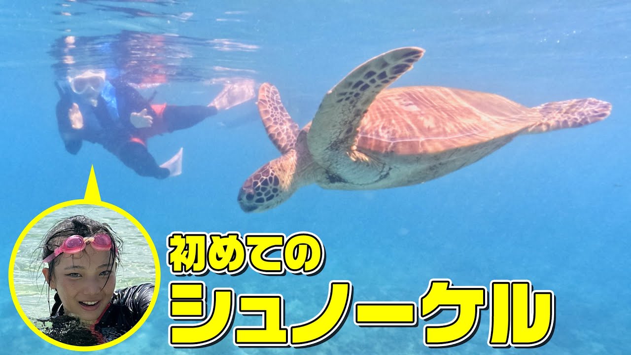 キレイな海で亀と泳いだ夏休みVlog♪