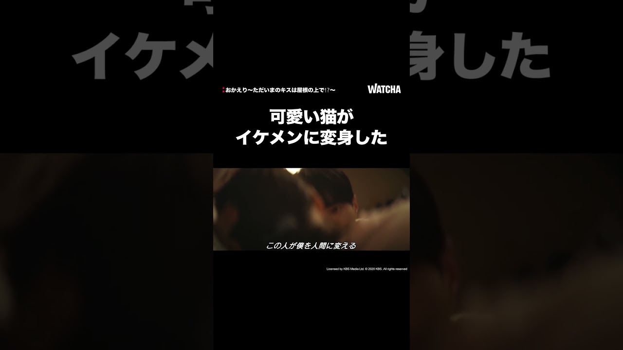 [WATCHA]白猫が人間に変身した🫢「おかえり～ただいまのキスは屋根の上で⁉～」