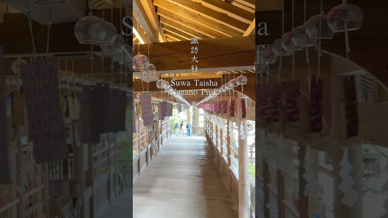 【 諏訪大社 】 1000個の風鈴で涼む 最古の神社 諏訪大社の布橋 #長野県