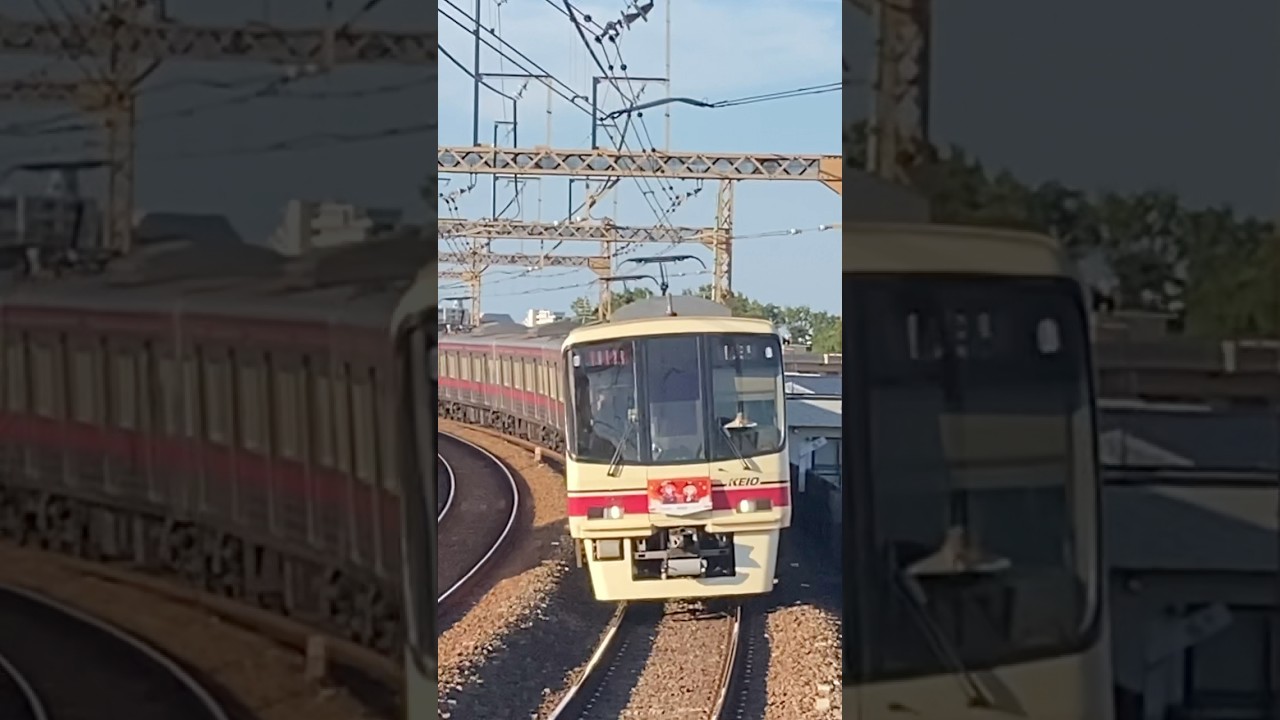 アイドルマスターシャイニーカラーズトレイン到着 #鉄道 #京王電鉄 #アイドルマスター #アイドルマスターシャイニーカラーズ #京王8000系