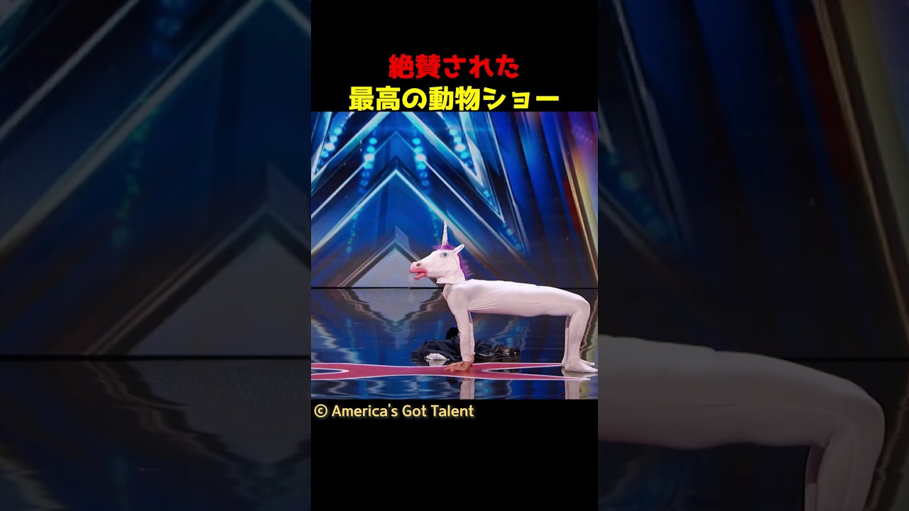 ゴールデンブザーを獲得した最高の動物ショー