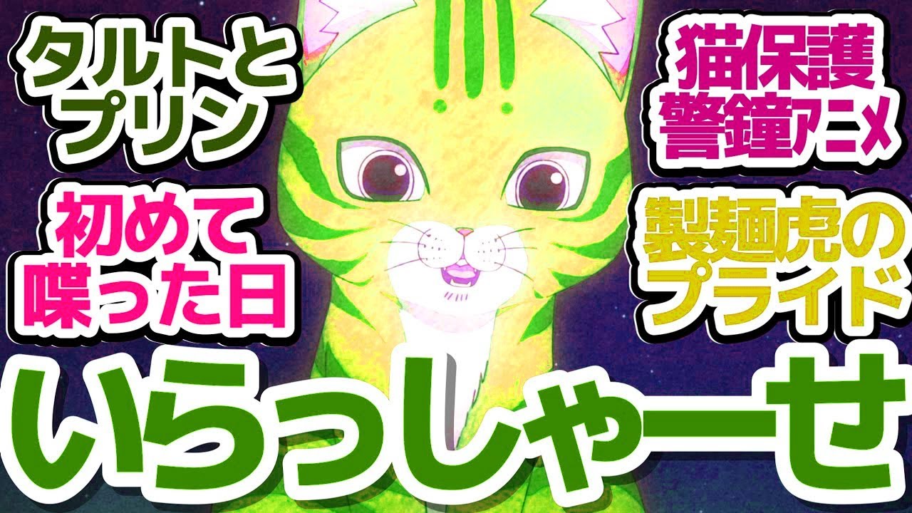 【ラーメン赤猫 11話】タルトちゃんプリンちゃん（現文蔵店長＆佐々木CEO）の子猫時代が可愛すぎる件＆猫好き弁護士念願達成？『ラーメン赤猫』第11話反応集＆個人的感想【反応/感想/アニメ/X/考察】