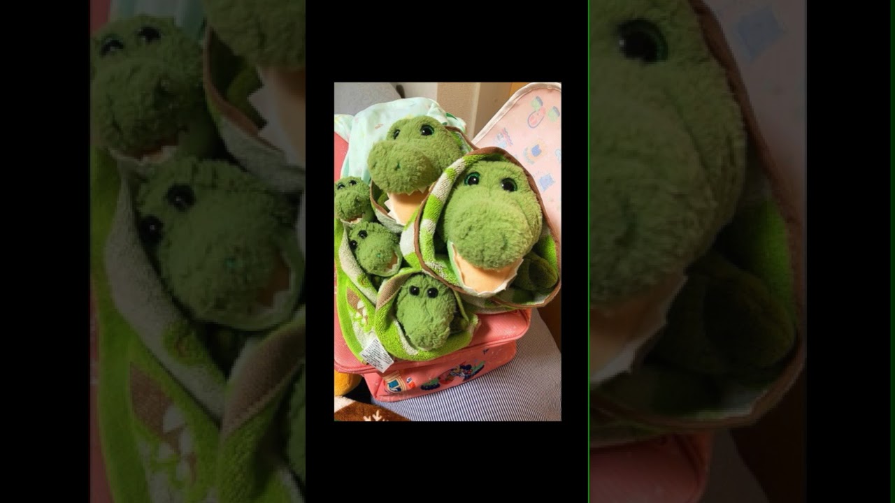 ただいま！おかえり！❤️#ぬいぐるみ病院 #ぬいぐるみ #ご退院 #お箱バス #感動の再会