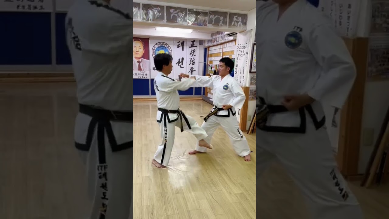 【テコンドー トゥル（型）】Master PAK CHONGHYON Technical training『チェヨン（崔瑩）トゥル CHOI-YONG Tul』