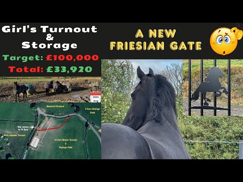 New Gates for the FRIESIANS | Nancy’s gift, MAAIKE’S 🧙🏻 mischief & Winter Turnout update