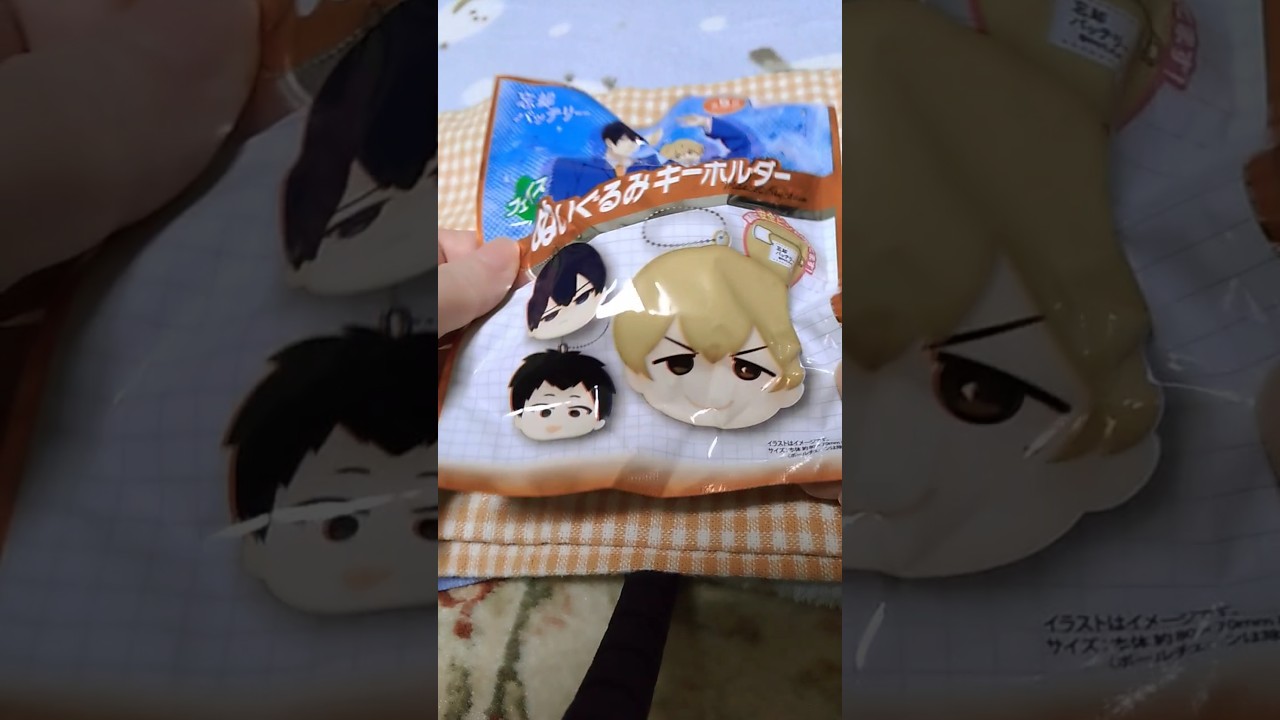 【開封】忘却バッテリーぬいぐるみキーホルダー #忘却バッテリー　#開封動画　#忘バ 　#100均  #100円ショップ　#ダイソー　#アニメ　#マンガ　#漫画　#かわいい　#可愛い　#ランダム