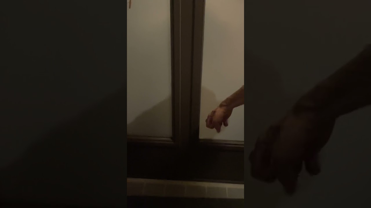 ただいま　おかえり　ゴールデンレトリバー　ボクサー犬