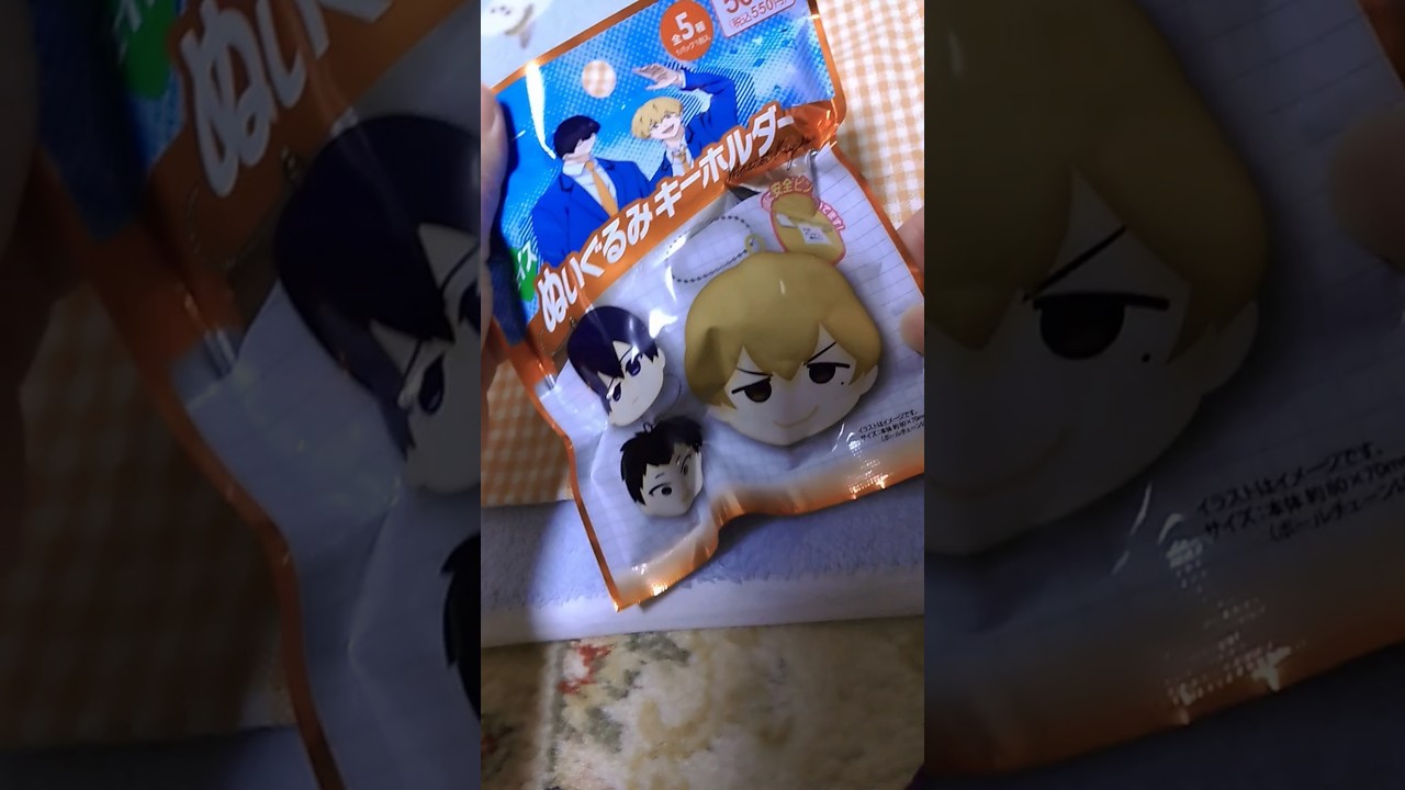 【開封】忘却バッテリーぬいぐるみキーホルダー #忘却バッテリー　#開封動画　#忘バ 　#100均  #100円ショップ  #ダイソー　#アニメ　#マンガ　#漫画　#ぬい活 　#ぬいぐるみ　#かわいい