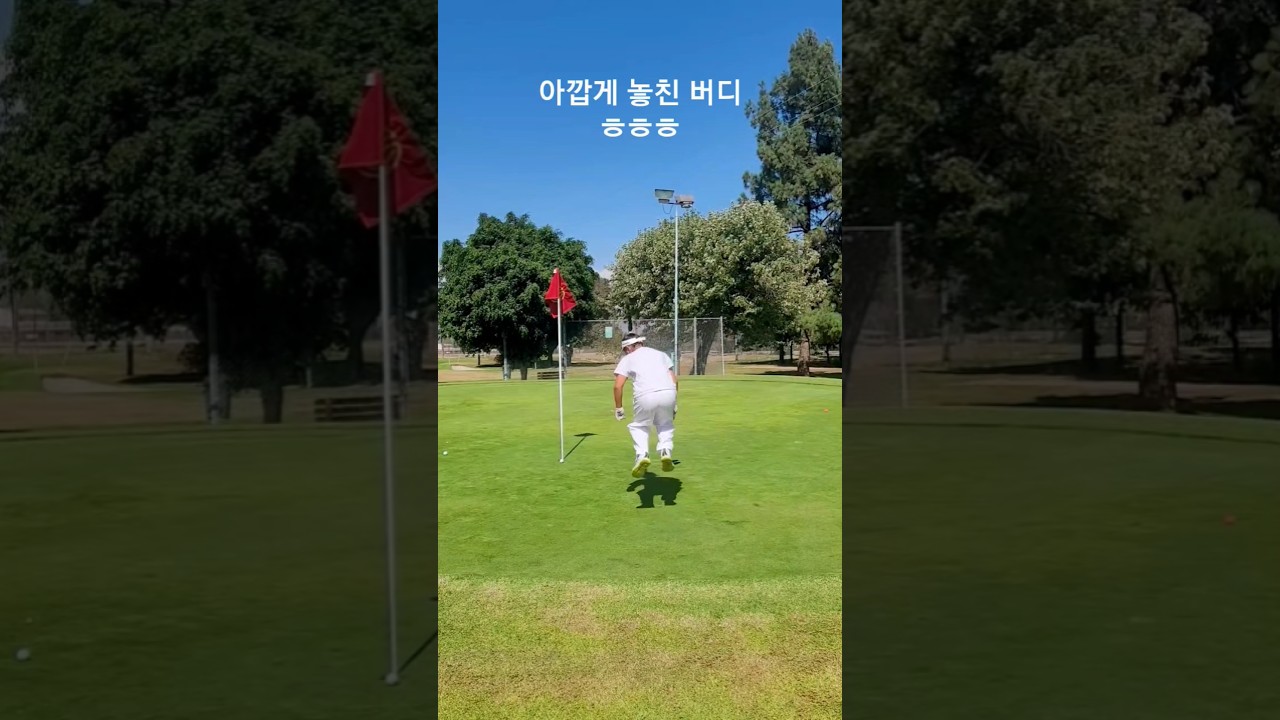 아빠랑 삼춘이랑 같이한 라운딩 아깝게 놓친 버디 ~  297일차 DAY297 9월3일  #golf #golfswing #골프 #골린이