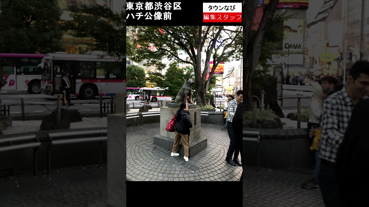 渋谷　ハチ公像の今（２０２４年１１月） #ハチ公 #渋谷 #外国人 #行列 #フォトセッション