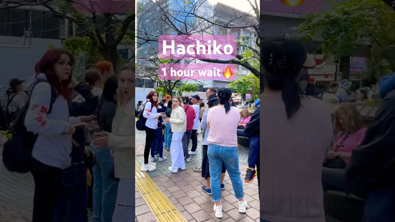 Hi! Hachiko!! #shorts #shibuya #渋谷　#ハチ公 #hachiko #travel #japan