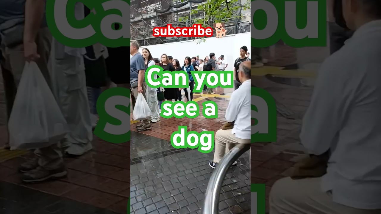 ハチ公前に長蛇の列が.#ハチ公#渋谷#hachiko#tokyo #japan