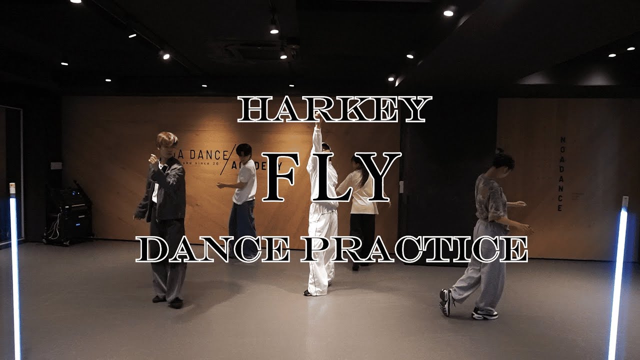 [Choreography] No.2 | HARKEY "FLY" Dance Practice | 🕺🏻🪽🌏🔥
