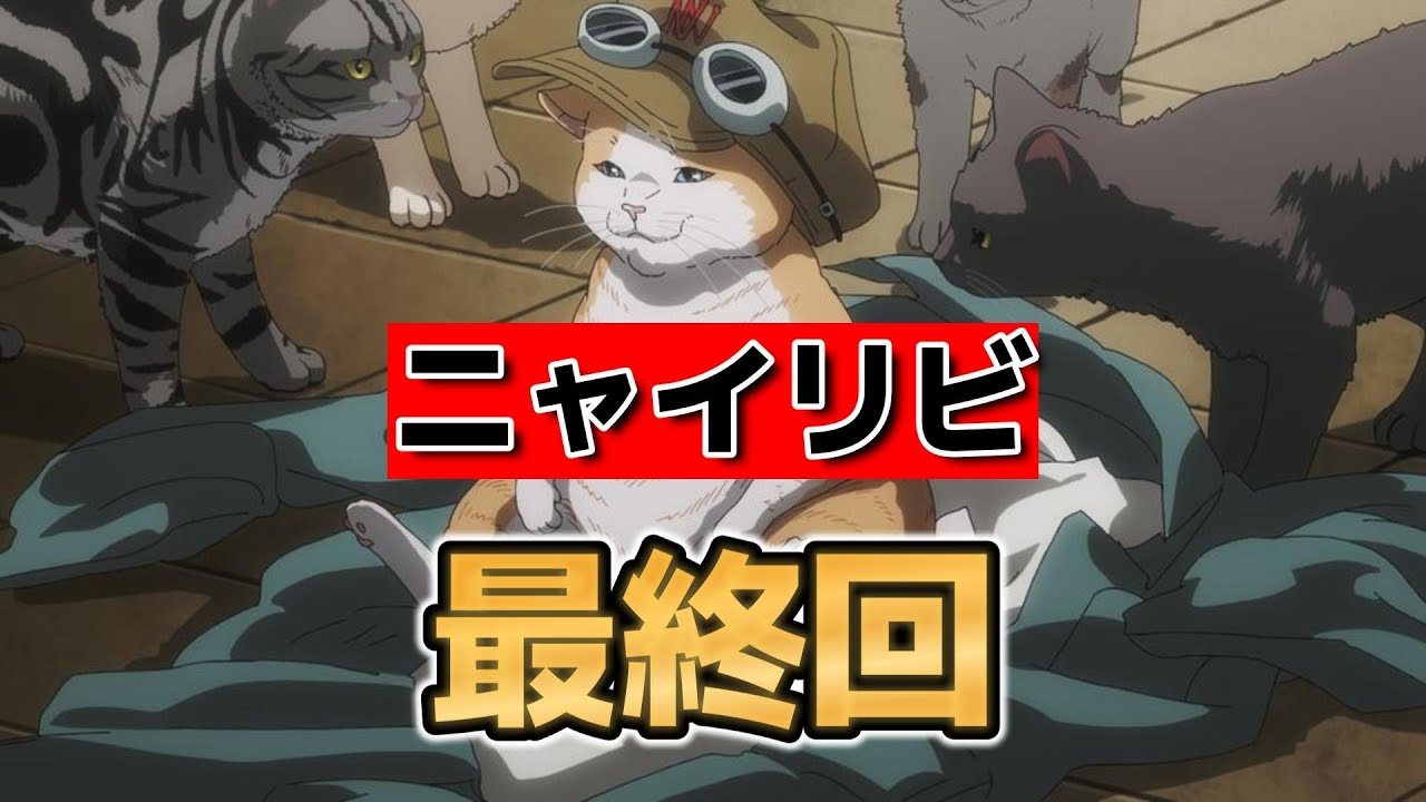 【ニャイト・オブ・ザ・リビングキャット】最終回！12話！なんだかんだいい雑学アニメだった！意味不明だけど【ニャイリビ】【2025年夏アニメ】