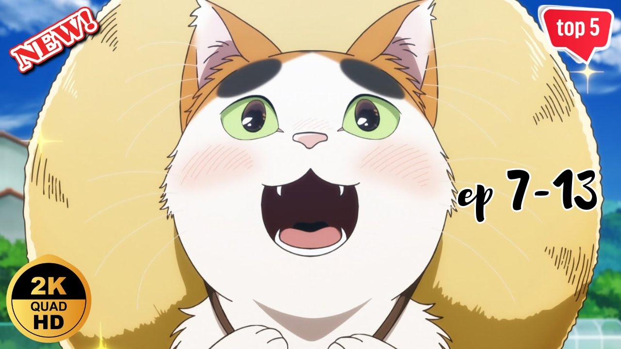 アニメ | となりの妖怪さん | 妖怪と人間が紡ぐ物語の続き