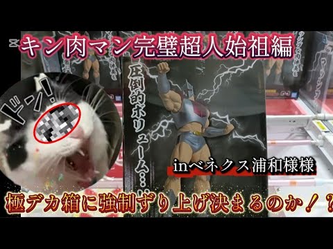 キン肉マン完璧超人始祖編リアルフィギュア-ロビンマスク　プレイヤー苦しめる極デカ箱!!たぬ先生直伝気分のずり上げで決めれるか!?