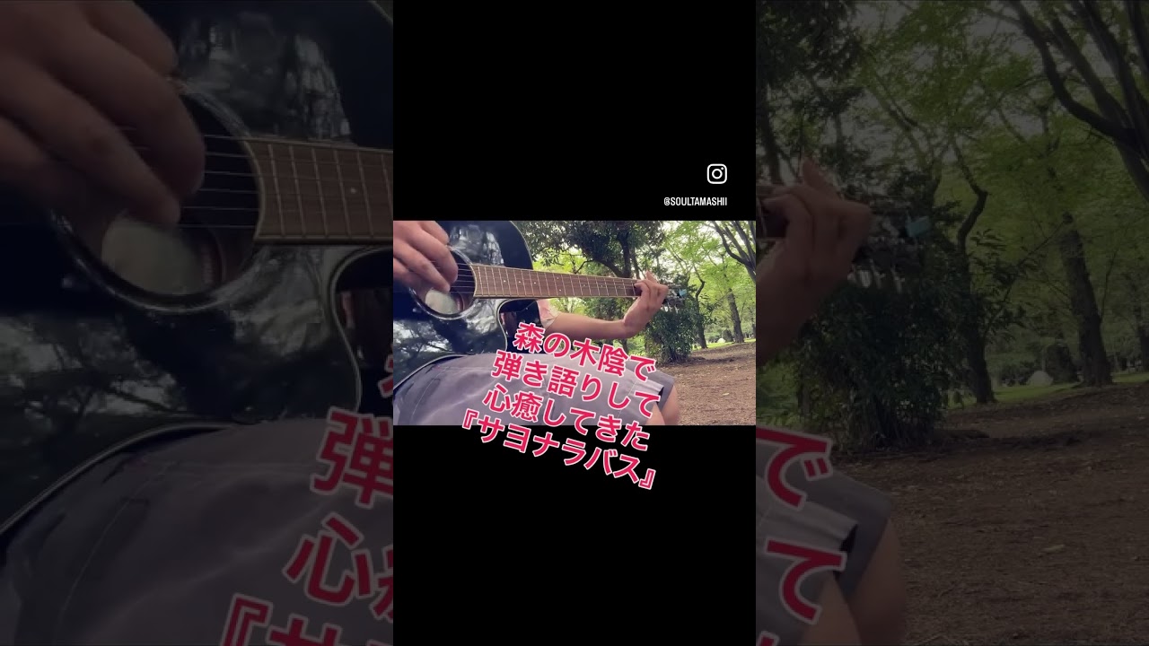 【残暑】森の木陰で弾き語りして心癒してきた.4『サヨナラバス』【終わった】