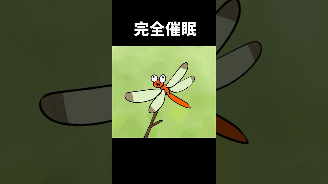 トンボの捕り方