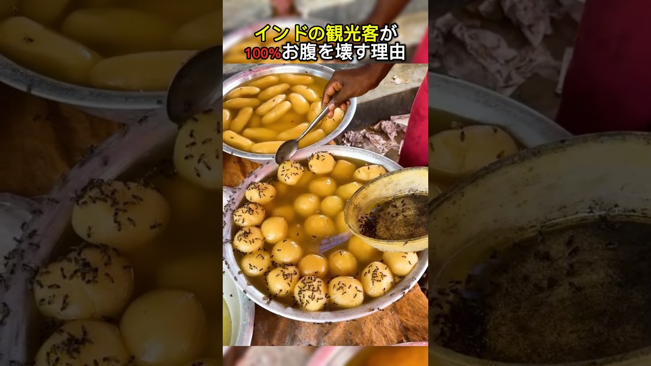 インドの観光客がほぼ100%お腹を壊す理由がこちら #shorts