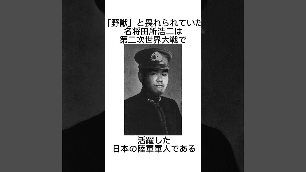 「野獣」と畏れられた男#例のアレ #真夏の夜の淫夢 #野獣先輩 #雑学  #戦争 #戦争の歴史