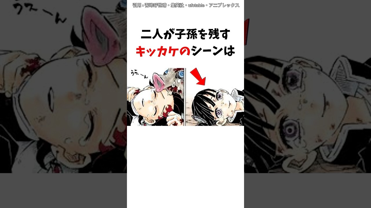 【鬼滅の刃】炭治郎とカナヲが子孫を残すキッカケのシーンは　#鬼滅の刃　#炭治郎　#栗花落カナヲ