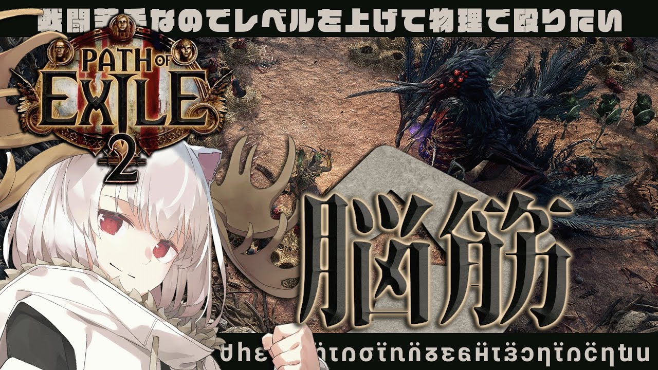 【Path of Exile 2】戦闘苦手なのでレベルを上げて物理で殴りたい